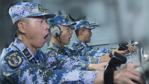 海軍?？谂炇抗偃后w：挺進(jìn)深藍(lán)的“定海神針”