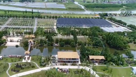 國家發(fā)展改革委：11億元支持長(zhǎng)江經(jīng)濟(jì)帶農(nóng)業(yè)面源污染治理