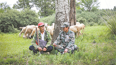 高清大圖｜塞北荒山，老兵播種“綠色夢”
