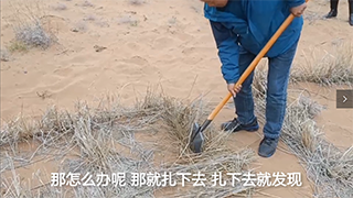 【母親河畔的中國(guó)】治理沙害，這個(gè)小格子起了大作用！