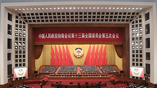 熱評(píng)兩會(huì)丨篤行不怠勤履職，再接再厲續(xù)華章
