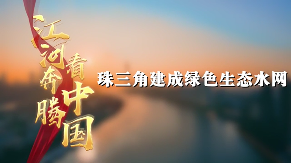 江河奔騰看中國·珠江新顏|珠三角建成綠色生態(tài)水網(wǎng)