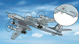 尾橇：防止飛機(jī)“擦尾”有后手