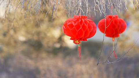 新春走軍營(yíng) | 爸媽，我在這里挺好的