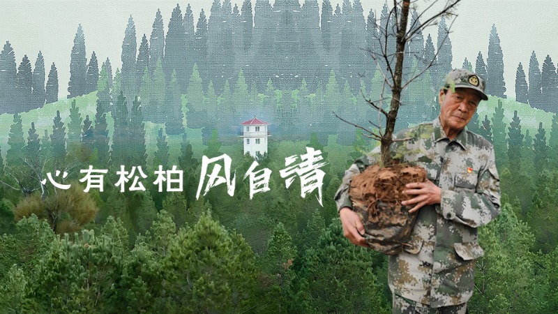 有聲海報(bào)丨不忘清風(fēng)來(lái)時(shí)路——青山寫(xiě)忠誠(chéng)的張連印