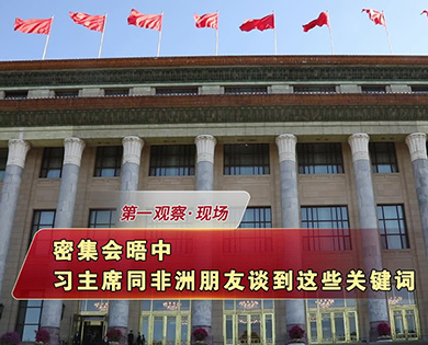 密集會晤中，習主席同非洲朋友談到這些關鍵詞